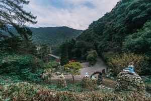 Jwagusan Recreational Forest (좌구산 자연휴양림)