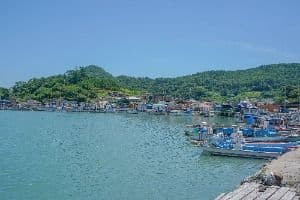 지죽도
