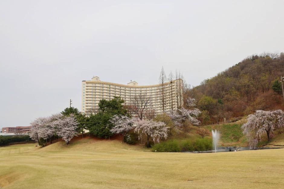 라비돌컨트리클럽