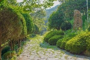숲쟁이공원