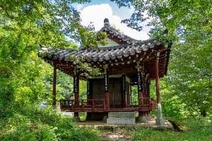 오괴정