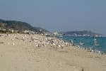 Hupo Beach (후포해수욕장)