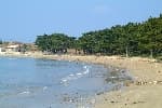 Jiri Beach (지리해수욕장)