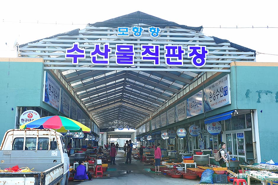 모항항수산물직판장