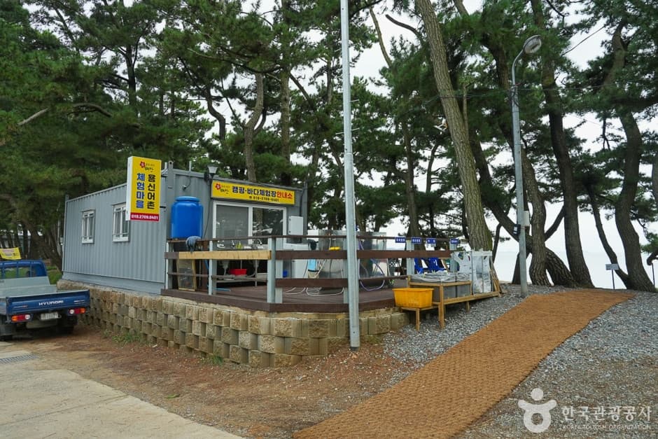 용신어촌체험마을