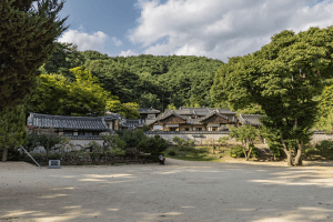 Dosanseowon Confucian Academy [UNESCO World Heritage] (도산서원 [유네스코 세계유산])
