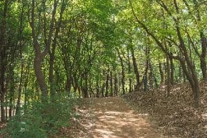 남선공원