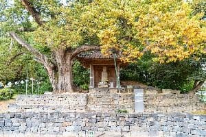 증평 미암리 석조관음보살입상