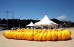 Yangyang Dongho Beach (동호해변(양양))