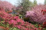 Wansan Park (완산공원)