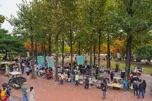 영등포선유도원축제