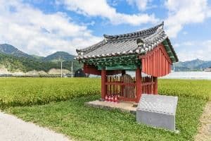 금산 천내리 용호석