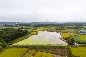 부여 산직지