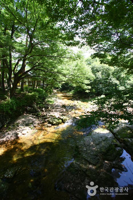 Songnisan National Park (Gyeongbuk Section) (속리산국립공원(경북))