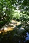 Songnisan National Park (Gyeongbuk Section) (속리산국립공원(경북))