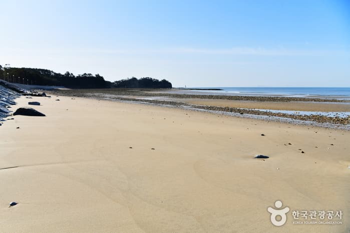 Baeksajang Beach (백사장해수욕장)