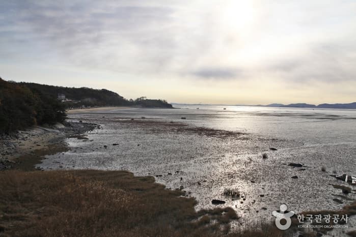 [Ganghwa Nadeul-gil Course 6] Birthplace of Hwanam Trail ([강화 나들길 제6코스] 화남생가 가는 길)
