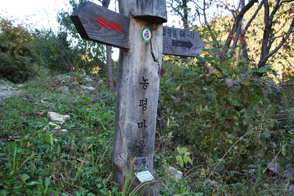농평마을