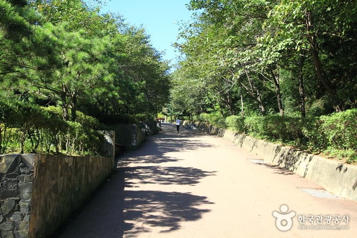 Soraesan Mountain (소래산)