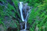 Bongnaepokpo Falls [Ullengdo & Dokdo National Geopark] (봉래폭포 (울릉도, 독도 국가지질공원))