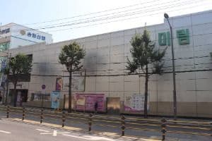 추억극장미림