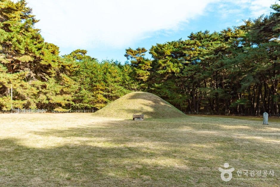 경주 경애왕릉