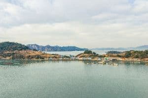 연홍도