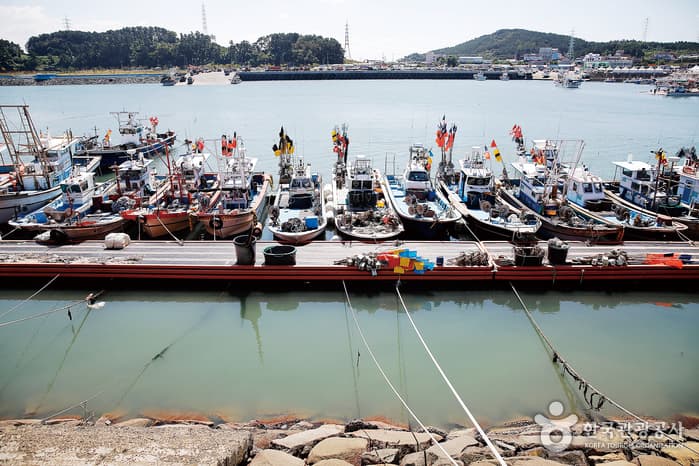 Hongwonhang Port (홍원항)
