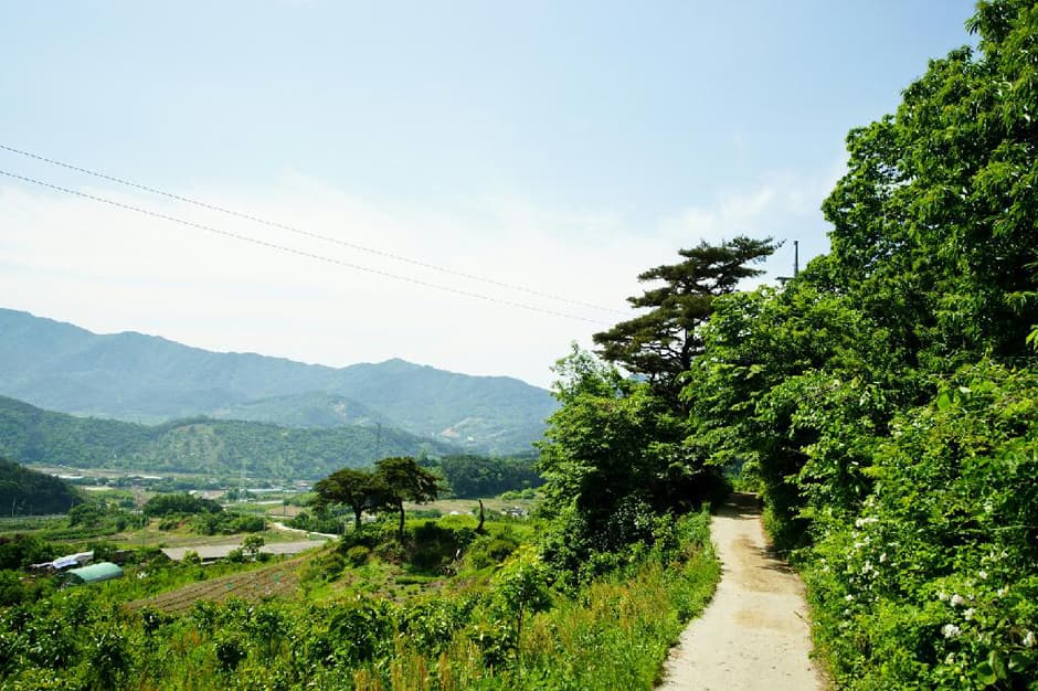 [지리산둘레길] 산동-주천