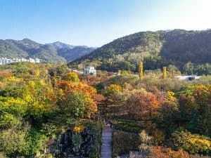 대구두류공원
