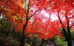Gwanaksan Mountain (관악산)