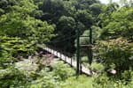 Gongjaksan Mountain (공작산)