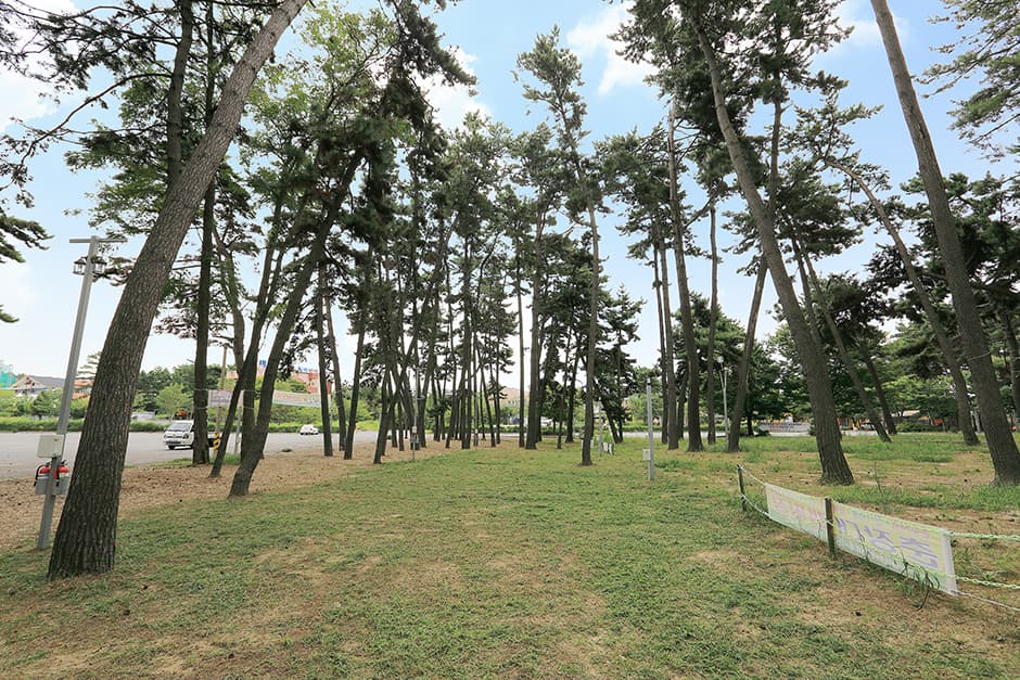 춘장대오토캠핑장