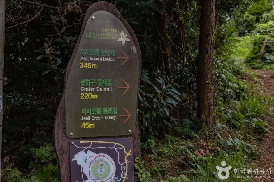 저지오름(닥몰오름,새오름)
