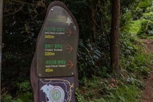 저지오름(닥몰오름,새오름)