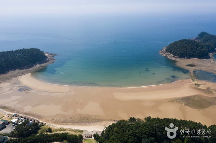 Cheollipo Beach (천리포해수욕장)