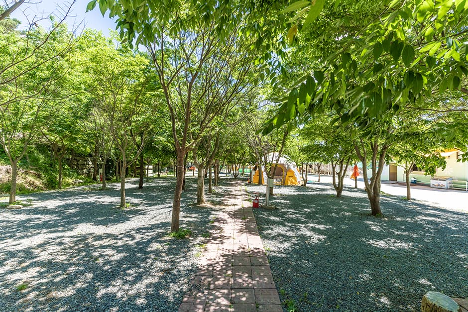 행화촌자연테마파크