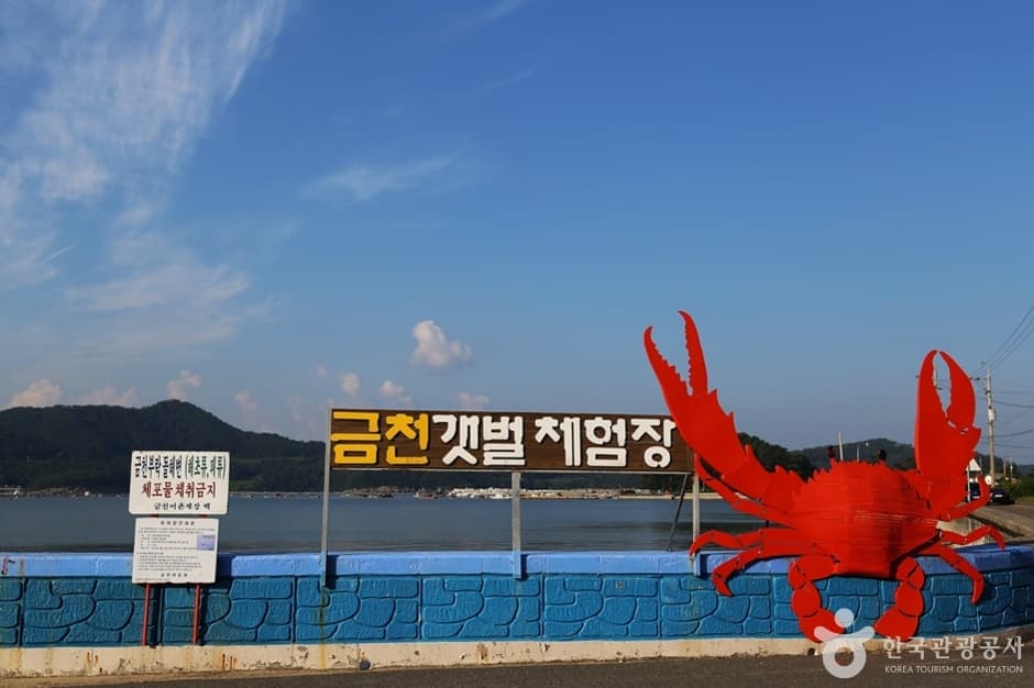 남해금천갯벌체험장