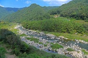 고로쇠마을(미산마을)