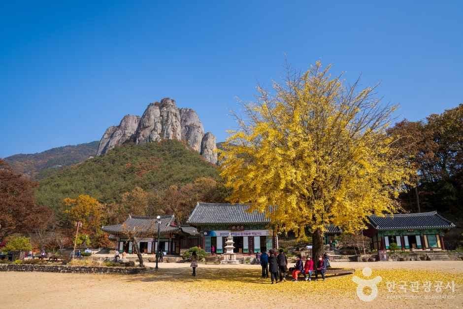 대전사