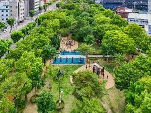 서구 그린웨이
