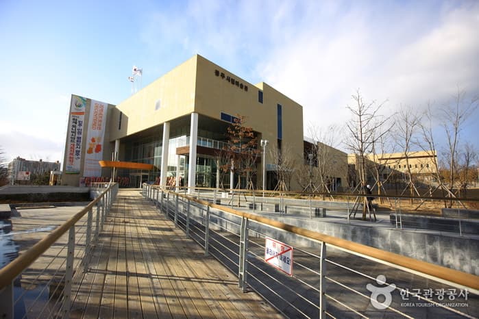 Gwangju Museum of Art (광주시립미술관)