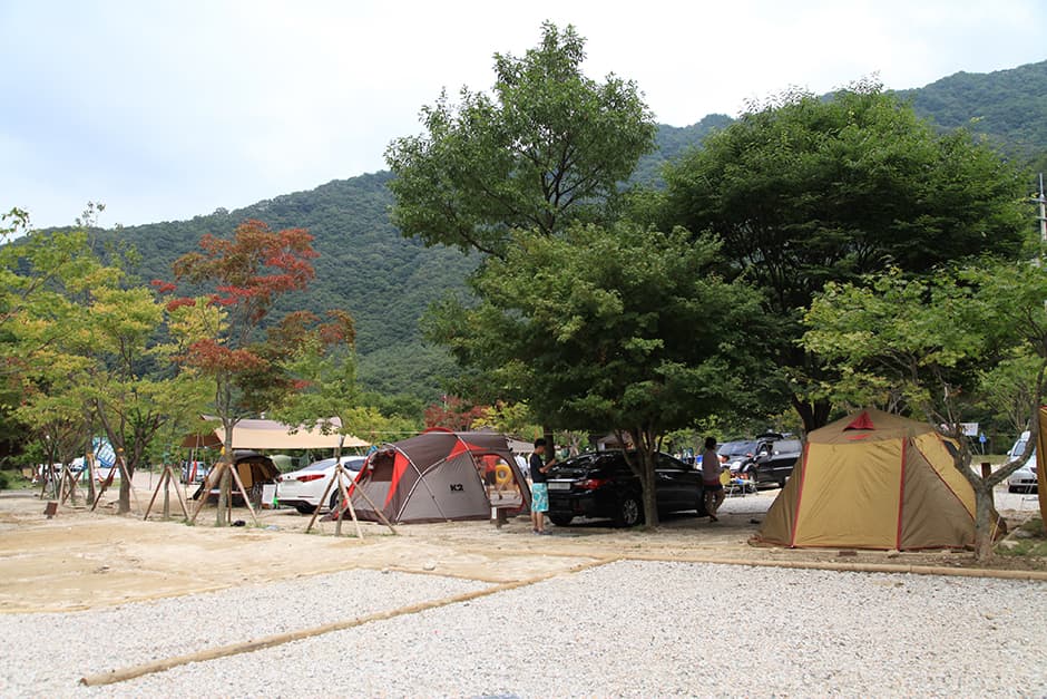 달궁자동차야영장