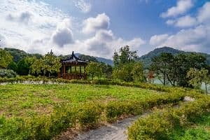 요산공원