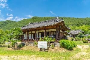 농암종택
