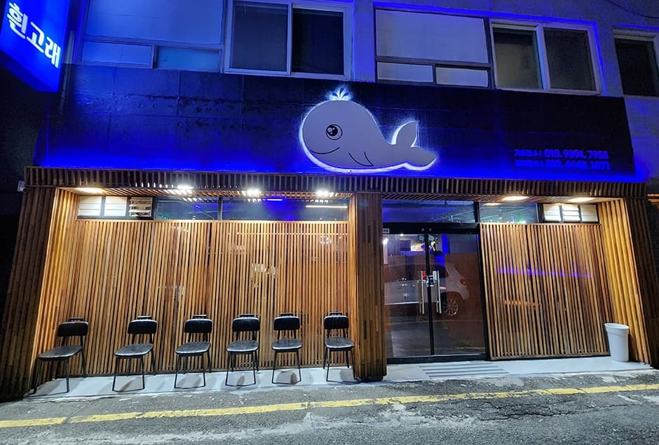 흰고래