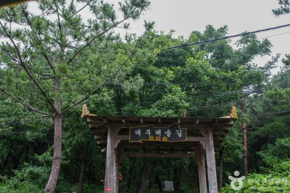 [대부해솔길] 1코스