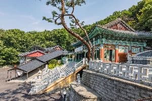 호불사