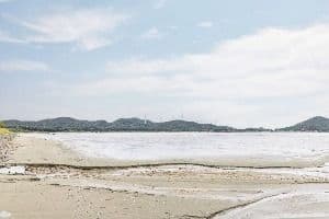 둔장해변