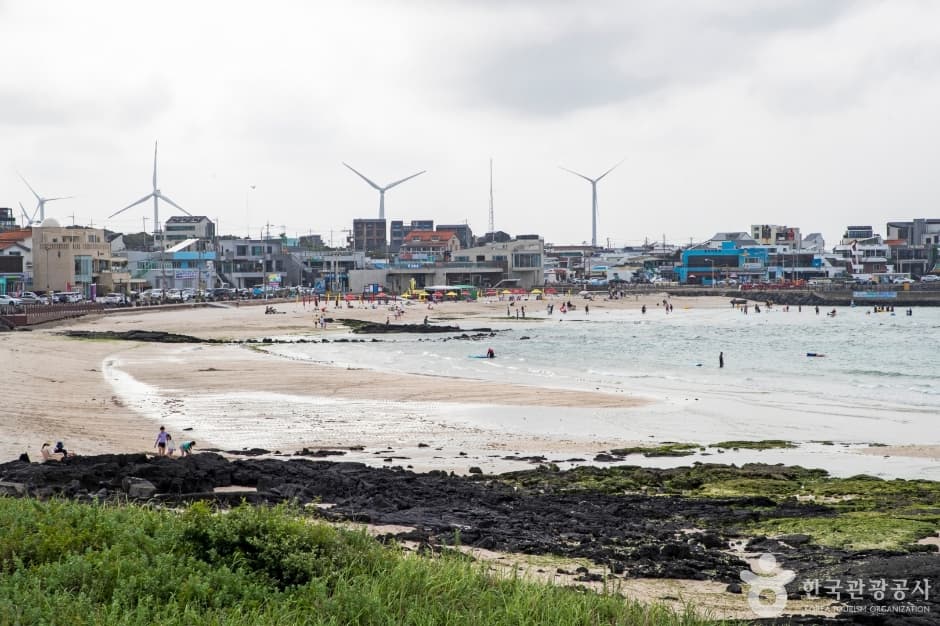 Woljeongri Beach (월정리해변(월정리해수욕장))